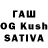 Галлюциногенные грибы GOLDEN TEACHER GV Kumar