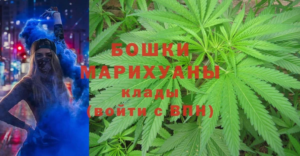 стаф Белоозёрский