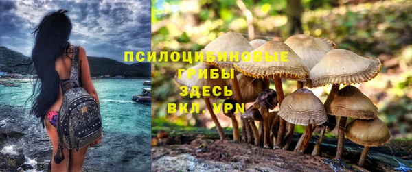 стаф Белоозёрский