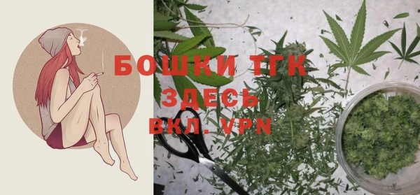 стаф Белоозёрский