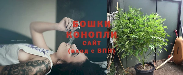 стаф Белоозёрский