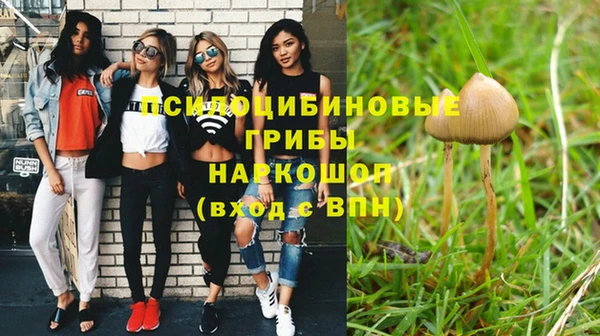 стаф Белоозёрский