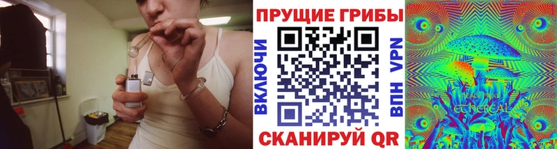 Галлюциногенные грибы Psilocybe  наркотики  Дагестанские Огни 